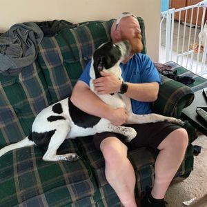 Meet your Posher, Dwight